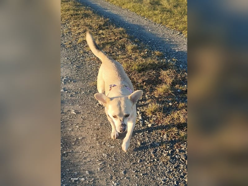 Kleine tapfere Bianca sucht ihre Familie