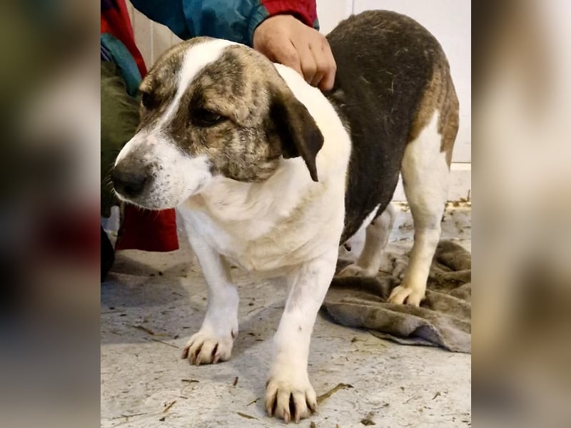 Super freundliche, kleine LUISA