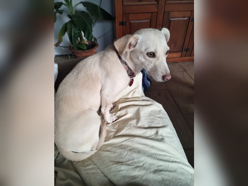 Kleine Selly sucht ein liebevolles Zuhause