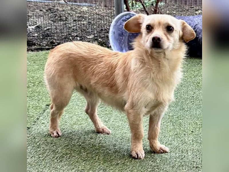 Kleines, zartes Männlein Justus