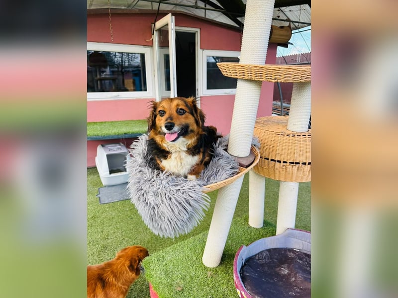 Mini Knutschkugel Kessie