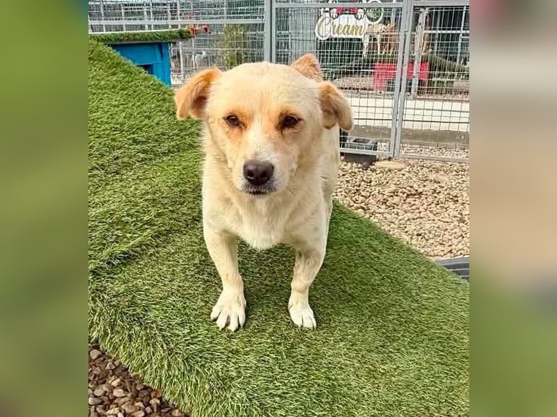 Theo, kleine Knutschkugel sucht seine Familie