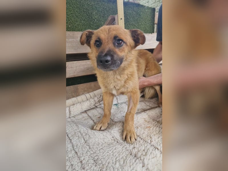 Kleiner Thor sucht sein großes Glück