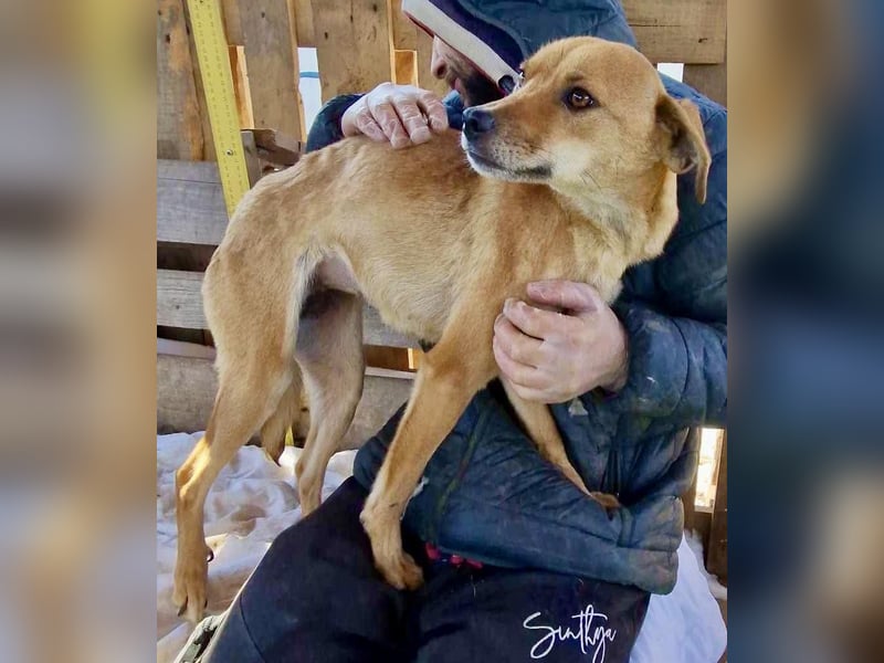 Coco - freundliche Schmusemaus