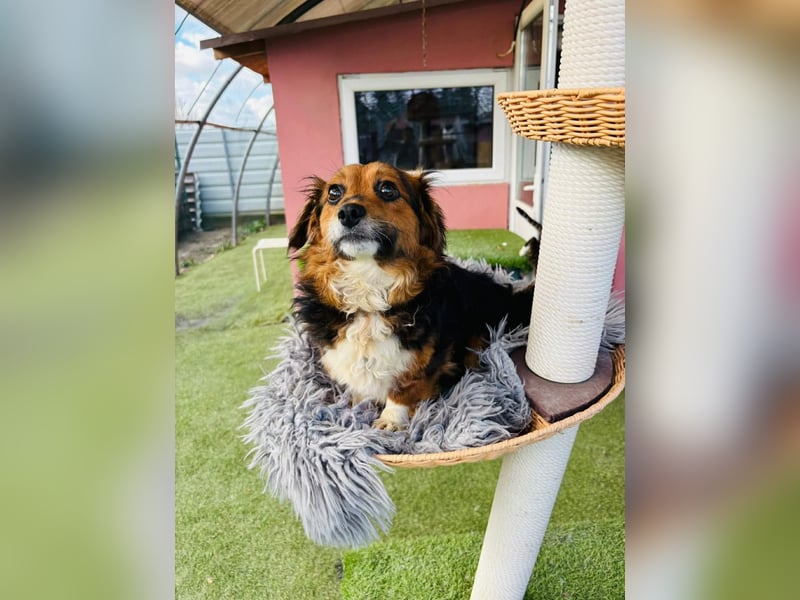 Mini Knutschkugel Kessie