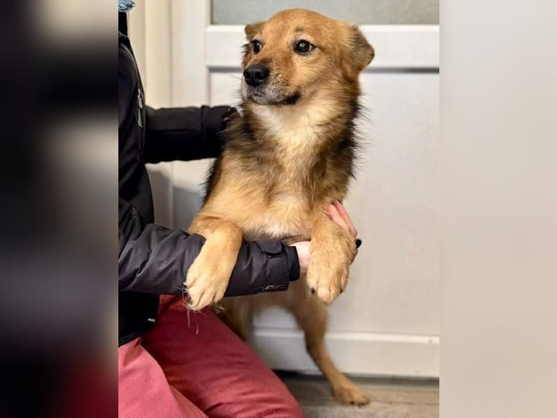 Bildhübscher Schatz Nico