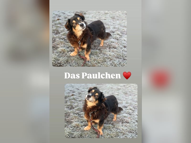 Klein Paulchen sucht seinen Altersruhesitz