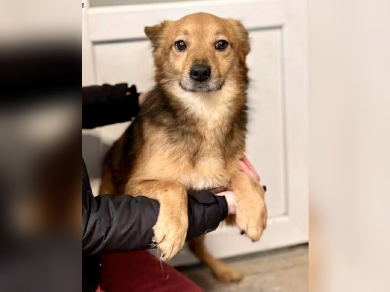 Bildhübscher Schatz Nico