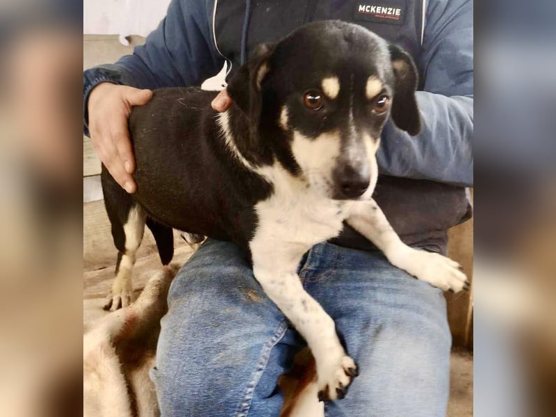 Nando hat alles verloren