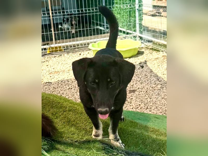 Pippa geht ihren Weg zurück ins Leben
