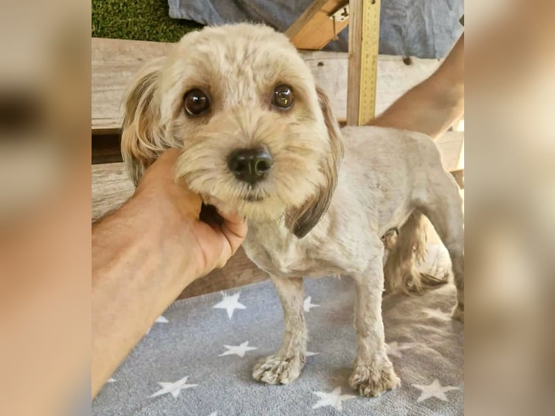 Milla möchte endlich geborgen sein