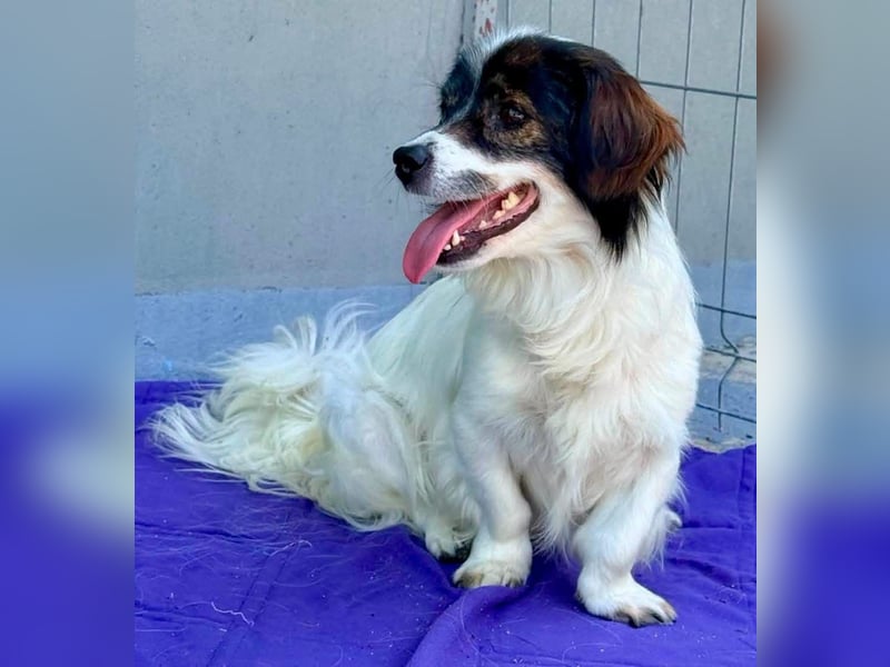 Rocky, kleines Männlein sucht seine Familie