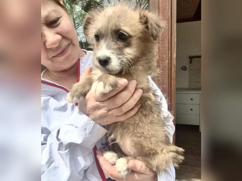 Milly sucht ihr großes Glück