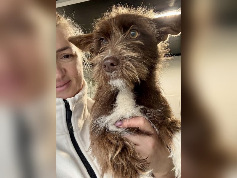 Schokomäuschen PENNY…