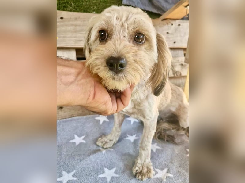 Milla möchte endlich geborgen sein