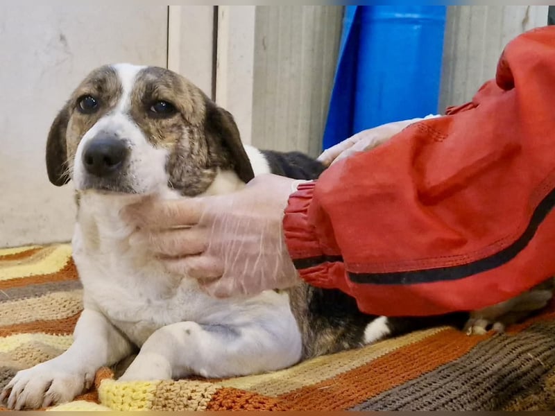 Super freundliche, kleine LUISA