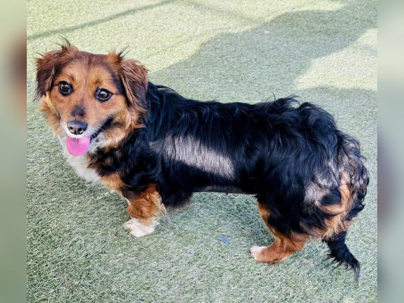 Mini Knutschkugel Kessie