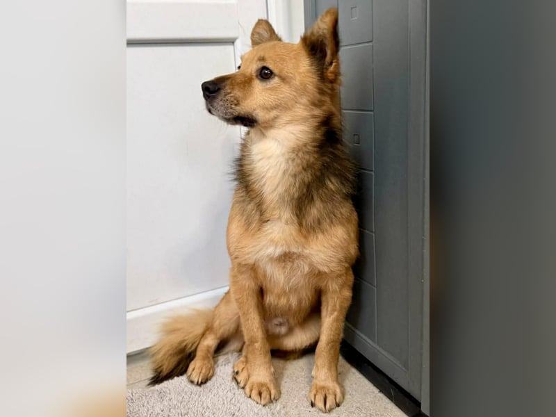 Bildhübscher Schatz Nico