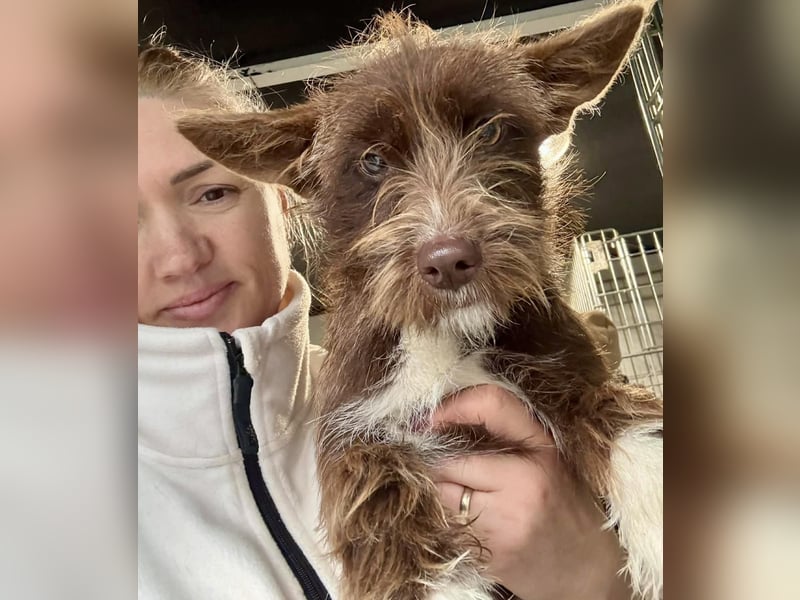 Schokomäuschen PENNY…