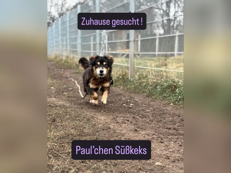 Klein Paulchen sucht seinen Altersruhesitz