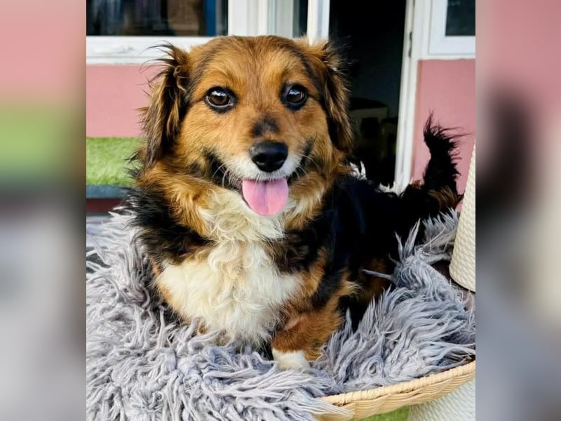 Mini Knutschkugel Kessie