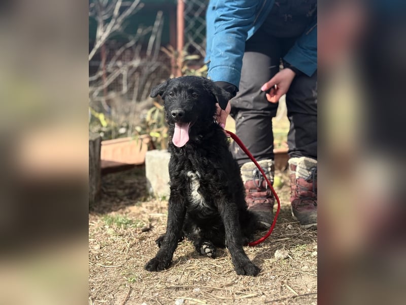 Kende wartet auf einen Neuanfang