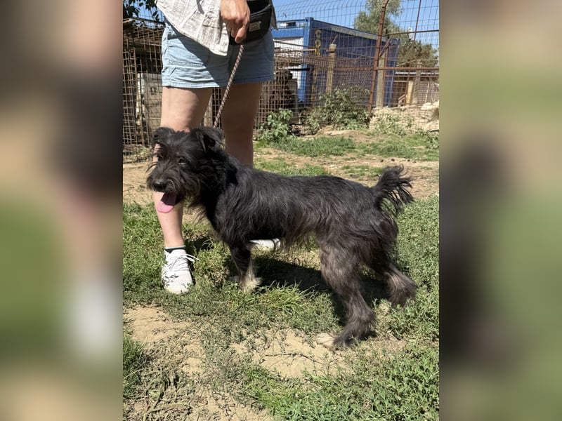 Lidi wartet sehnsüchtig auf ihre Familie