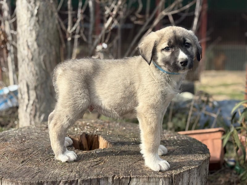 Nils ist pure Freude