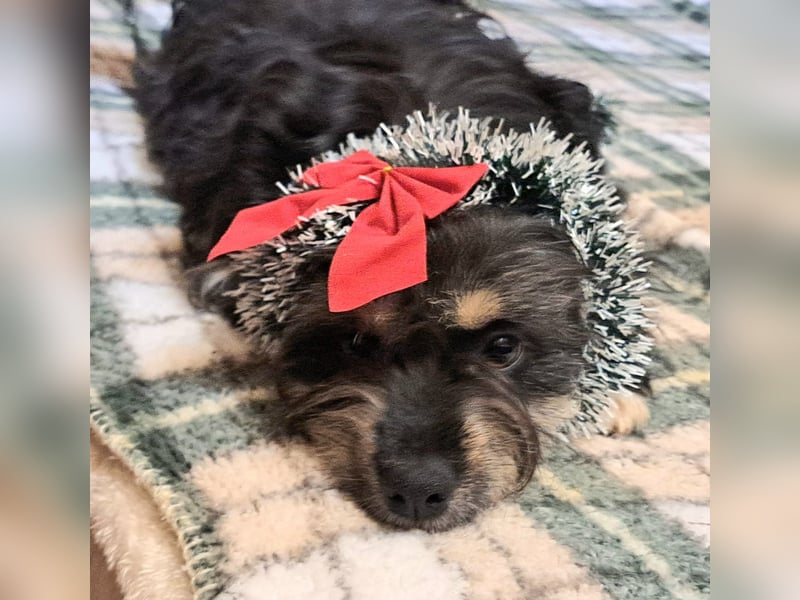 Irene lebt in Rumänien bei einer Pflegefamilie