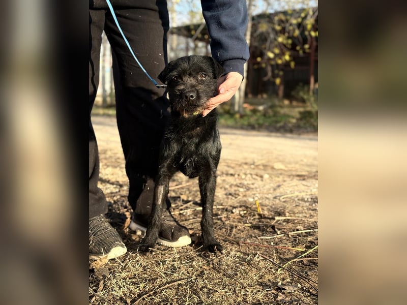 Leandra - Süße Maus will endlich ankommen!