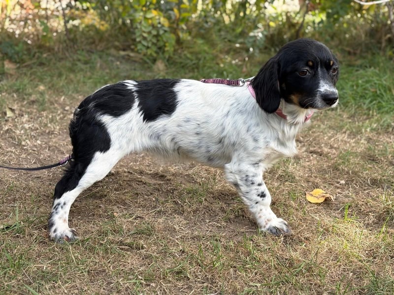 Envi möchte endlich nachhause Envi möchte endlich nachhause