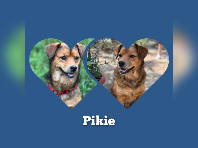 Wunderhübscher Bub möchte Rumänien vor dem kalten Winter dort verlassen