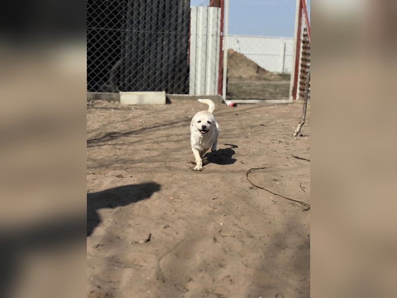 Bibe sucht ein Herz, das sie liebt