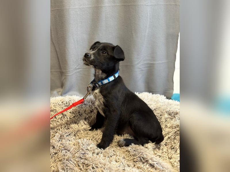 Gibst du Gerta eine Chance?