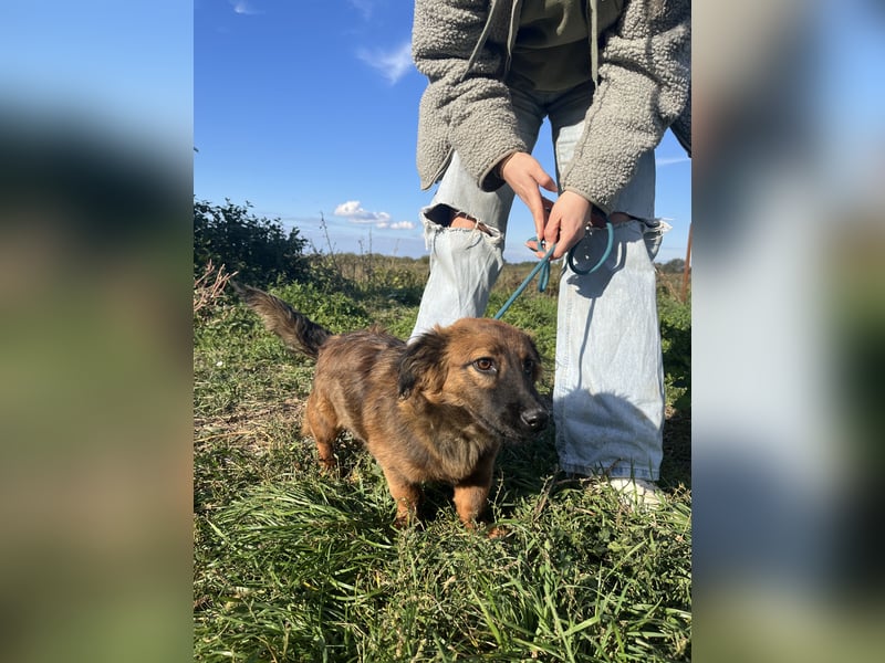 Luca - will nicht länger im kalten warten!