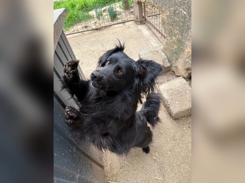 Pamacs wartet auf einen Neuanfang