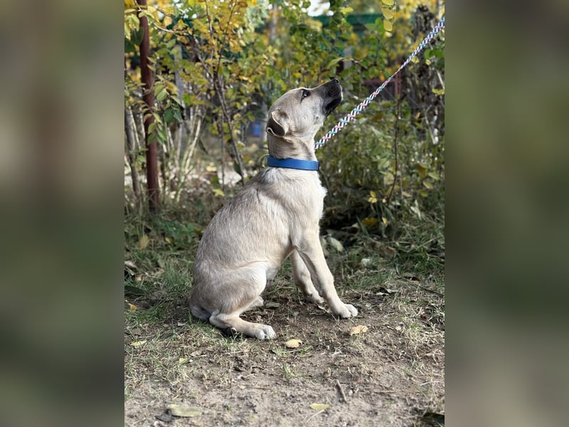 Ozan - wartet auf ein besseres Leben!