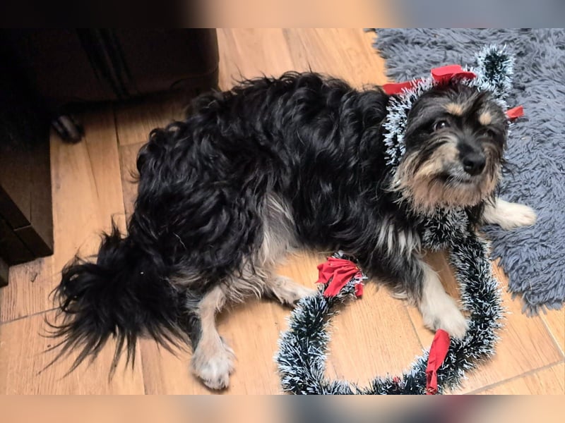 Irene lebt in Rumänien bei einer Pflegefamilie