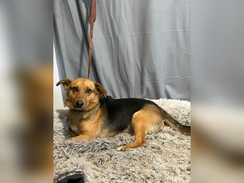 Hendri wartet auf ihr Happy End