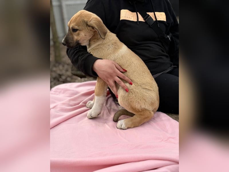 Nevio hat viel Liebe zu geben