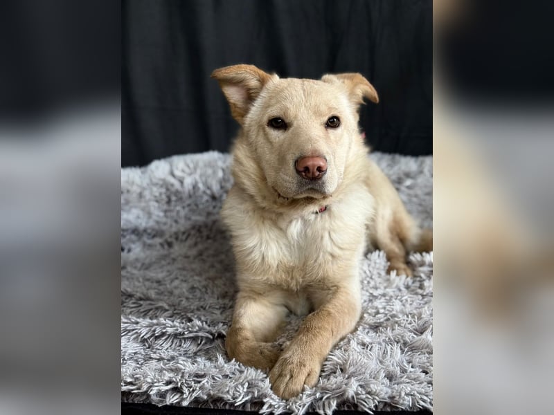 Pola möchte endlich geliebt werden