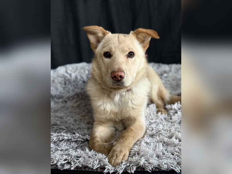 Pola möchte endlich geliebt werden