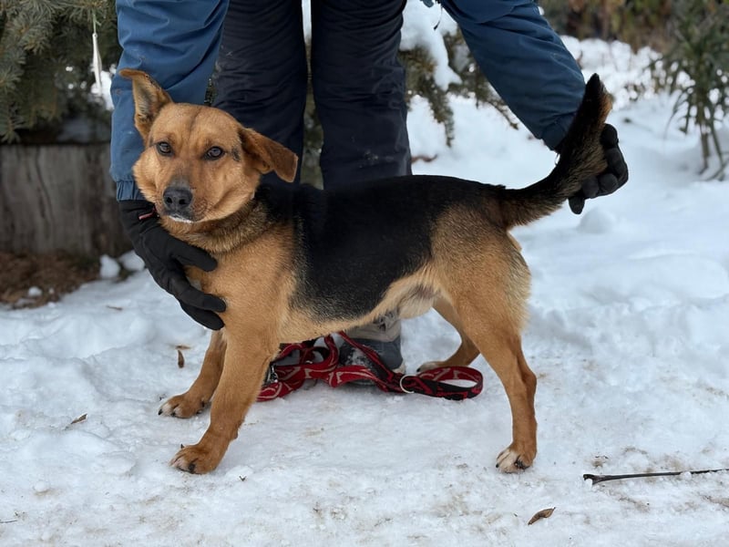 Hendri wartet auf ihr Happy End