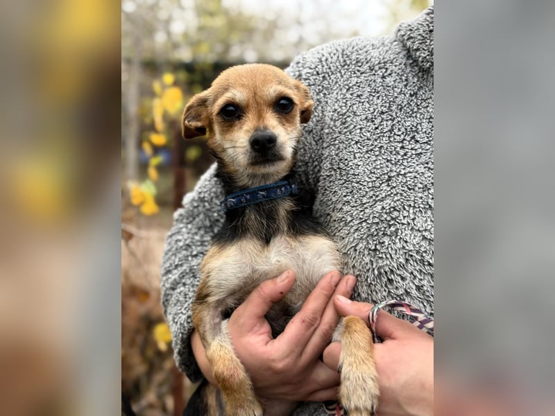 Harmat - sie will dieses Jahre nicht frieren!