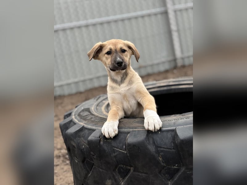 Nevio hat viel Liebe zu geben