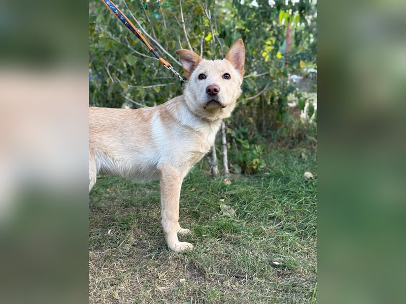 Pola möchte endlich geliebt werden