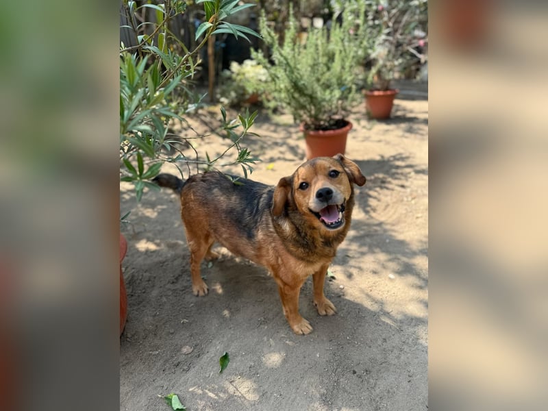 Wunderhübscher Bub möchte Rumänien vor dem kalten Winter dort verlassen