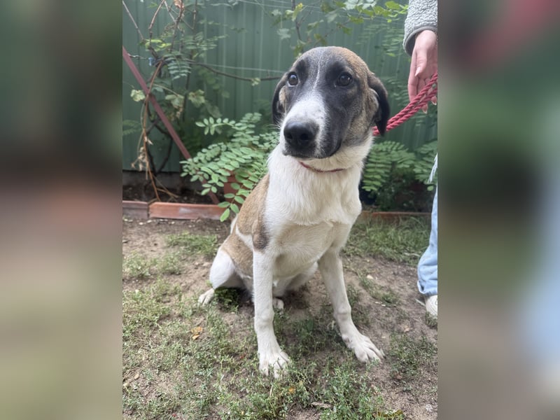 Hezöl sucht ihre Menschen