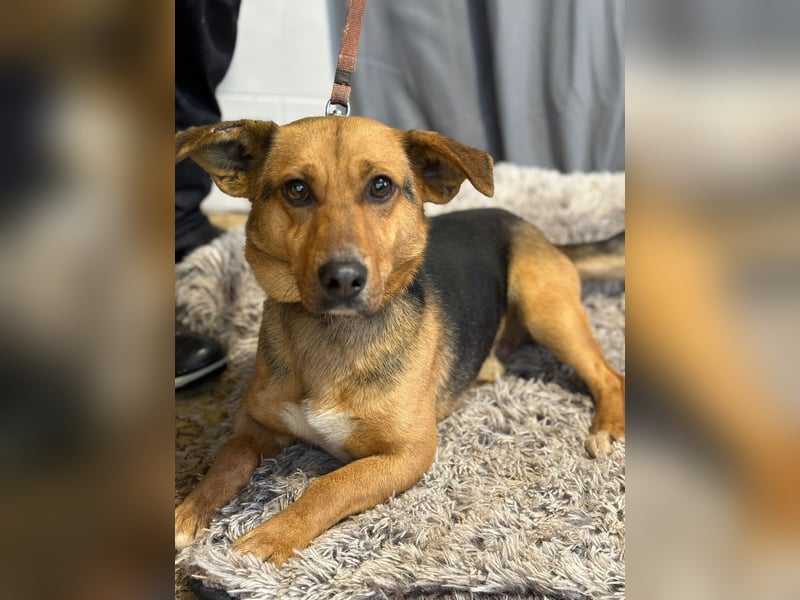 Hendri wartet auf ihr Happy End