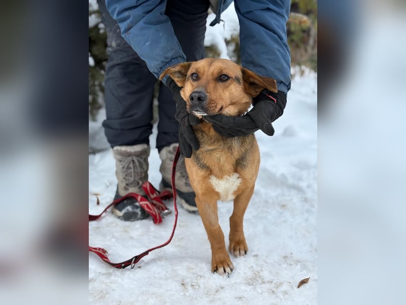 Hendri wartet auf ihr Happy End